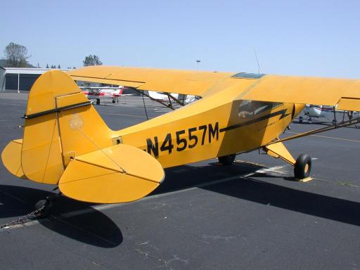 Piper Cub At Columbia (O22)