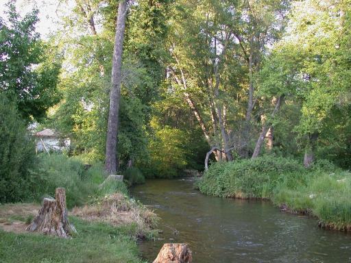 A Creek in a Park in Murphys