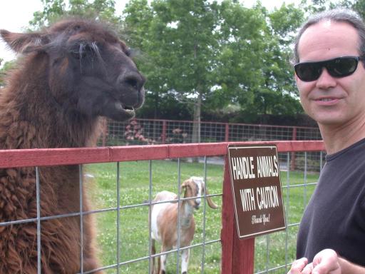 I feed A Llama