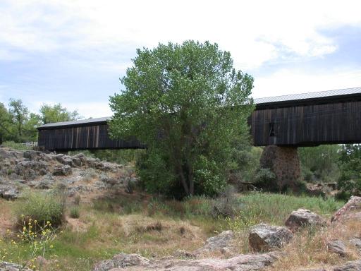 Covered Bridge over the Stanislaus River