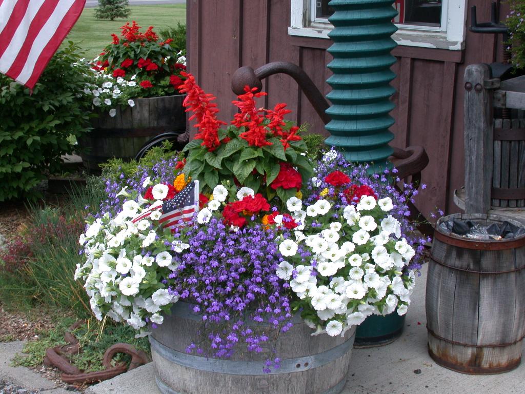 Patriotic display outside Hazlitts'