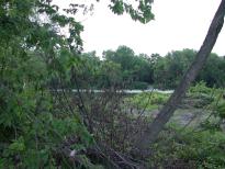 The Chemung River behind the Hoose house