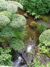 The Portland Japanese Garden