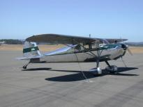 Shiny Cessna 140 at Santa Rosa